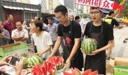 朝阳群众吃瓜网站,吃瓜网站背后的社区力量