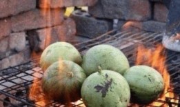 吃瓜奇葩山寨,一场舌尖上的狂欢