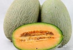 哈密瓜呢怎么吃,解锁夏日清新口感