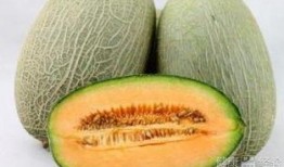 哈密瓜呢怎么吃,解锁夏日清新口感