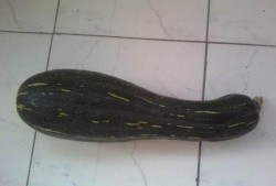 体育吃瓜占卜,揭秘那些不为人知的幕后故事