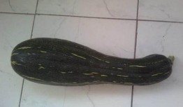 体育吃瓜占卜,揭秘那些不为人知的幕后故事