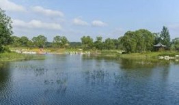 弥河湿地公园吃瓜,夏日消暑吃瓜好去处