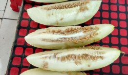 吃呱呱带你吃瓜,吃瓜群众带你领略美食世界