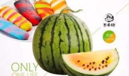 冰淇淋瓜小孩吃,冰淇淋瓜，甜蜜滋味，快乐童年