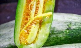 网红吃瓜 记录,揭秘娱乐圈幕后故事