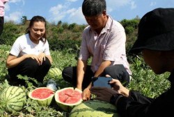 云南吃瓜群众,揭秘云南特色美食背后的故事