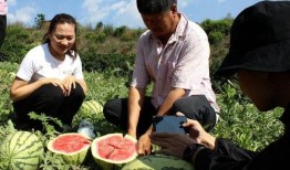 云南吃瓜群众,揭秘云南特色美食背后的故事