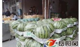 吃瓜水果店,尽在吃瓜水果店