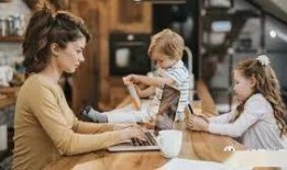 吃瓜观众的朋友,朋友视角下的娱乐圈风云