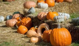 8英里吃瓜,一场关于梦想与现实的吃瓜盛宴