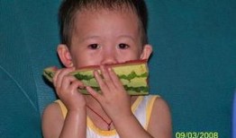 吃楠瓜的生肖,揭秘吃楠瓜的神奇养生之道