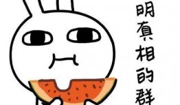 怎么样可以无偿吃瓜,轻松解锁瓜界福利