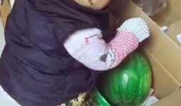 抱女儿的视频吃瓜,视频记录爸爸抱女儿温馨吃瓜时光