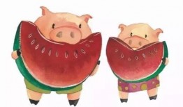 吃瓜网站粉色猪,揭秘吃瓜网站背后的趣味与真相