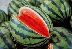 近期学校吃瓜,揭秘近期校园热点事件背后的真相”