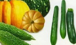 教培吃瓜,吃瓜群众眼中的风云变幻