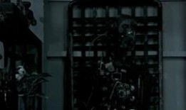 纹身视频吃瓜,吃瓜群众热议背后的故事