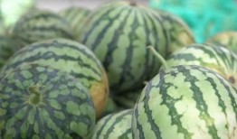 52 43秒 吃瓜,揭秘娱乐圈幕后真相