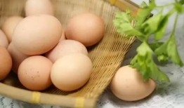 蛋仔演戏吃瓜,吃瓜群众笑翻天