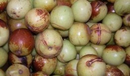 吃瓜能吃枣吗,揭秘夏日消暑新吃法