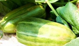 吃瓜鲜生,揭秘娱乐圈幕后故事