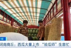 商丘市吃瓜,品味清凉，畅享夏日风情