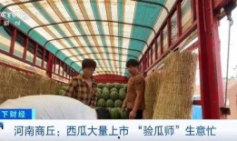 商丘市吃瓜,品味清凉，畅享夏日风情