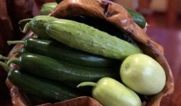 网红吃瓜 记录,揭秘娱乐圈幕后故事