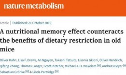 nature子刊吃瓜,吃瓜背后的科学奥秘