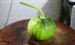 这个瓜怎么吃效果好,揭秘最佳食用技巧，尽享美味与健康