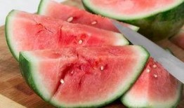 熹贵妃的日常吃瓜,揭秘后宫生活点滴