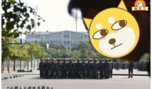 吃瓜群众小绿,揭秘吃瓜群众的趣味生活