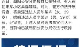 朝阳群众吃瓜网站,吃瓜网站背后的社区力量