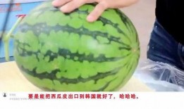 如何评价吃瓜心理,网络时代的全民狂欢与反思