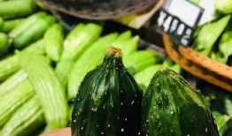 痞幼吃瓜连接有问题吗,网络连接疑云背后的真相