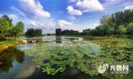 弥河湿地公园吃瓜,夏日消暑吃瓜好去处