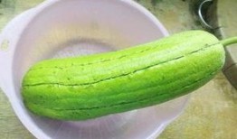 主播吃整条水瓜,挑战极限引网友热议！