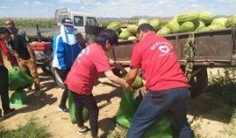 吃瓜群众爬山的视频,跟随吃瓜群众一起攀登自然奇观