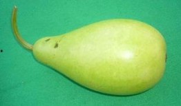 吃蒲瓜黑便,揭秘饮食与健康的关系