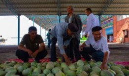 城里吃瓜,揭秘都市生活百态