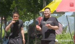 吃瓜网村支书,揭秘农村基层治理新风向