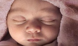 晚睡的宝宝有瓜吃,揭秘瓜果盛宴的秘密