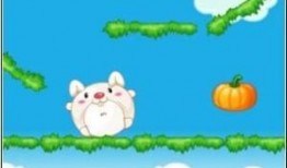 吃瓜看戏兔,揭秘娱乐圈幕后故事