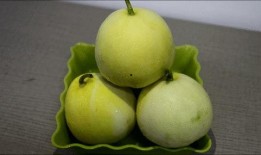 旅购吃瓜,畅游世界，品味人间烟火