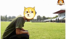 吃瓜群众小绿,揭秘吃瓜群众的趣味生活