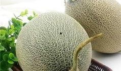 哈密瓜呢怎么吃,解锁夏日清新口感