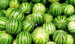 今夏最新吃瓜视频,揭秘娱乐圈幕后真相