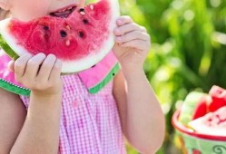 小孩西瓜地吃瓜