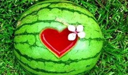 解梦梦见自己吃瓜,揭秘吃瓜背后的神秘寓意